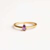 Anillo Turin