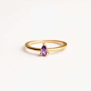 Anillo Turin