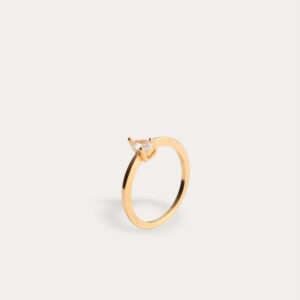 Anillo Turin