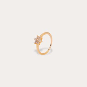 Anillo Gaela
