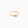 Anillo Feny