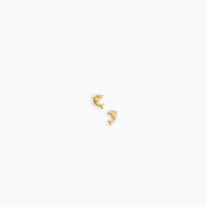 Dolphin Earrings