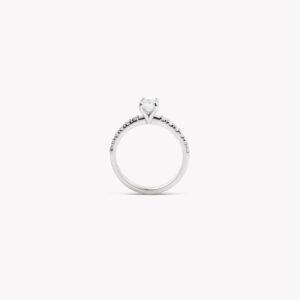 Pave Engagement Ring