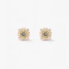 Aretes Delia