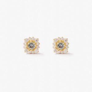 Aretes Delia