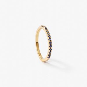 Anillo Natal
