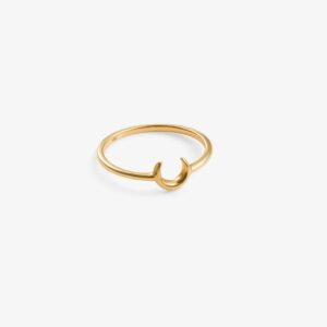Anillo Media Luna