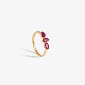 Anillo Noa