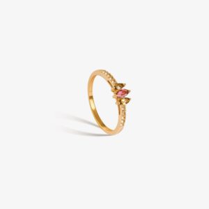 Anillo Zia