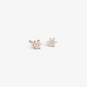 Aretes Gretel